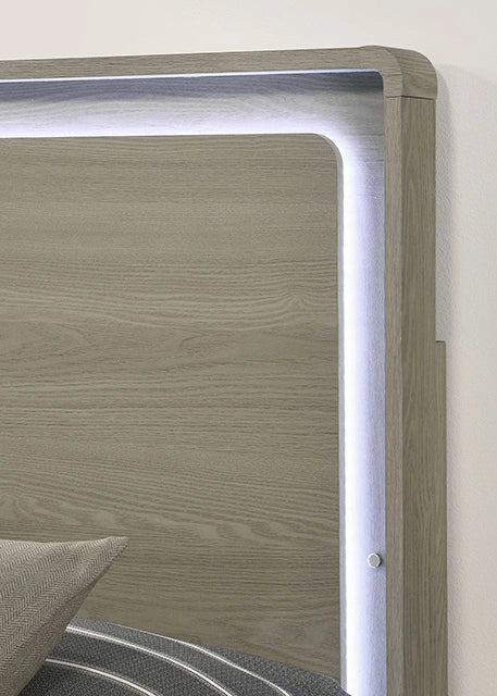 Rainier Bed Gray