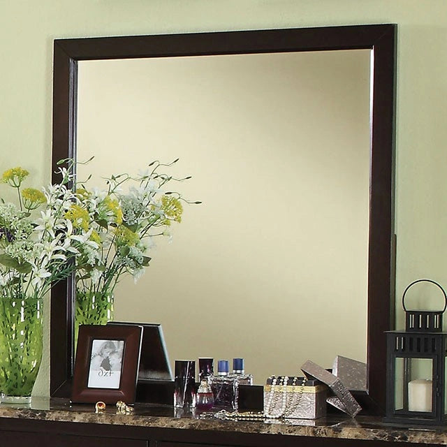 Lemoore Mirror
