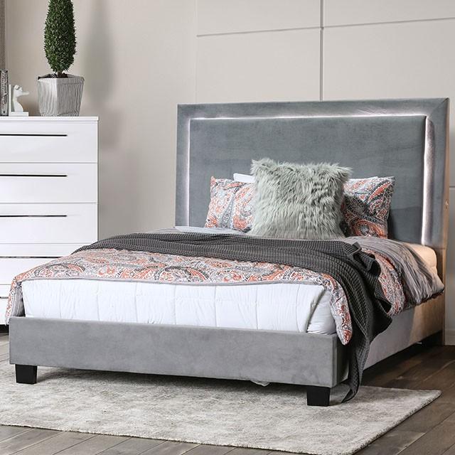 Erglow Bed Gray