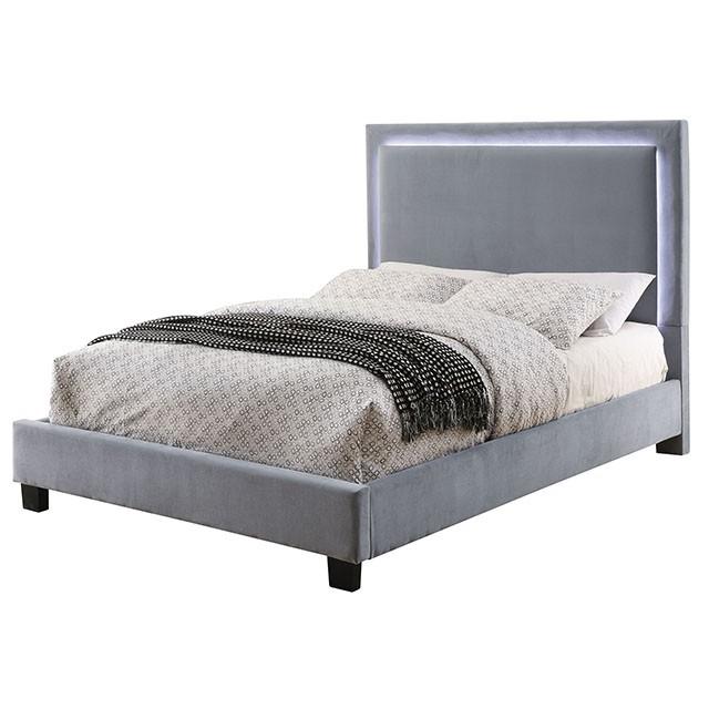 Erglow Bed Gray