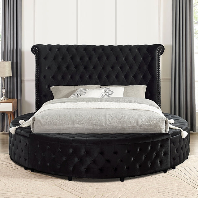 Sansom Queen Bed Velvet