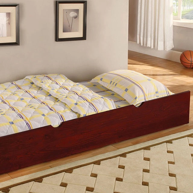 Coney Island Bunk Bed Chrome