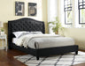 CARLY Queen Bed, Black image